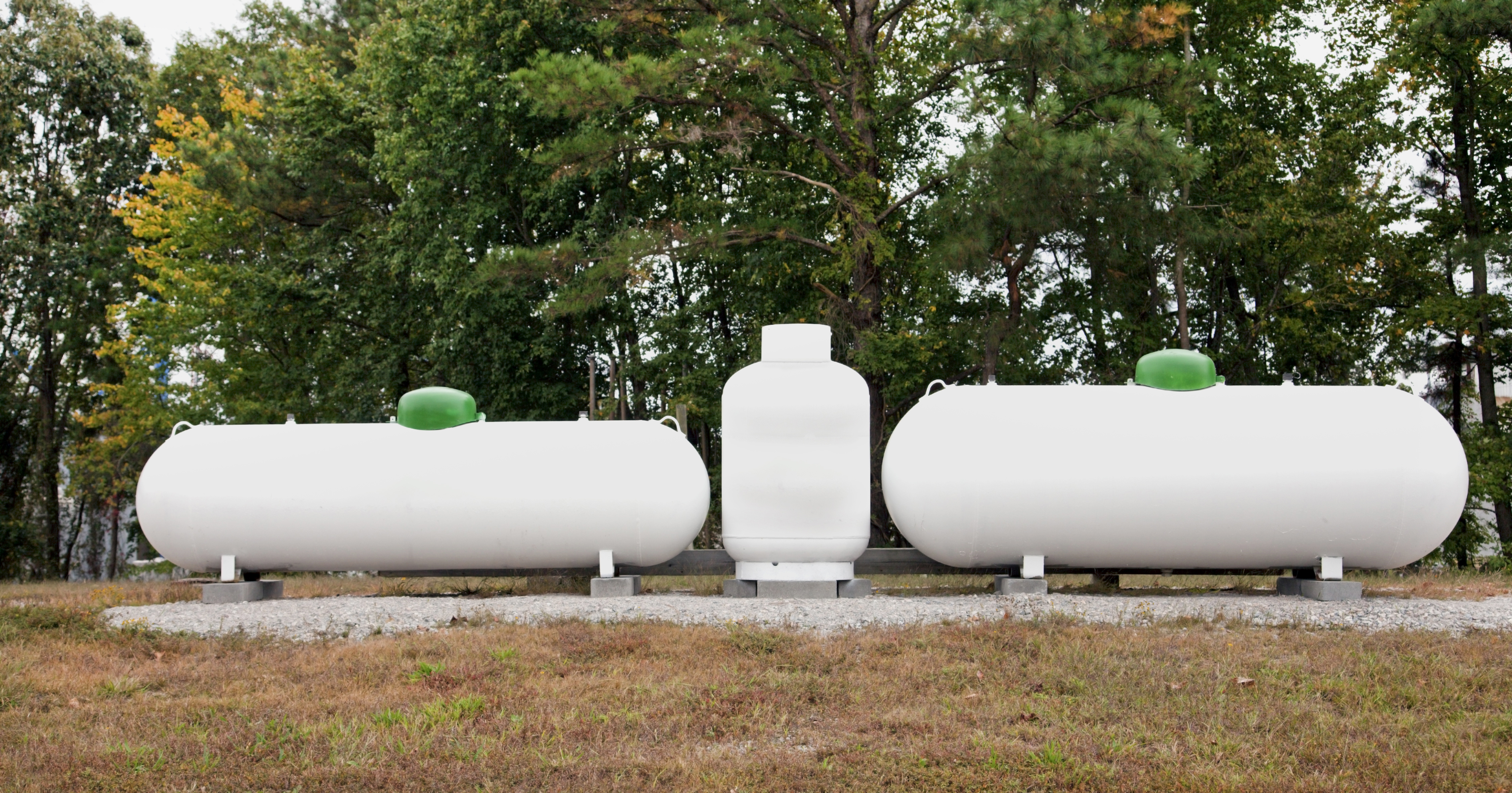 Renewable Gas Businesses